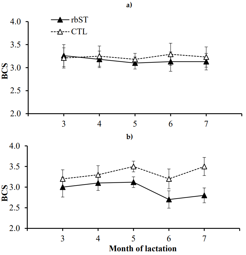 Lactaion curve of Nili Ravi buffaloes with and without rbST treatment