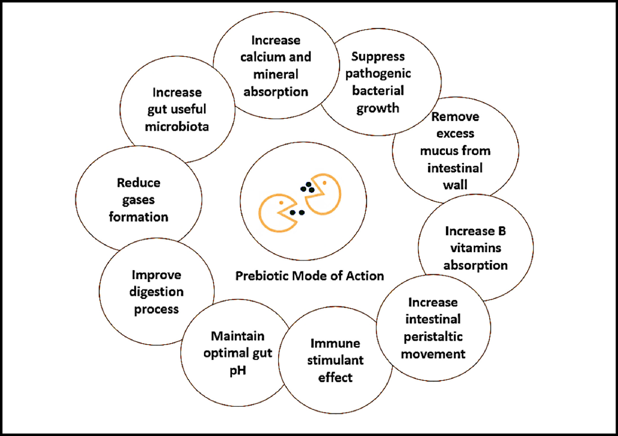 Prebiotics mode of action