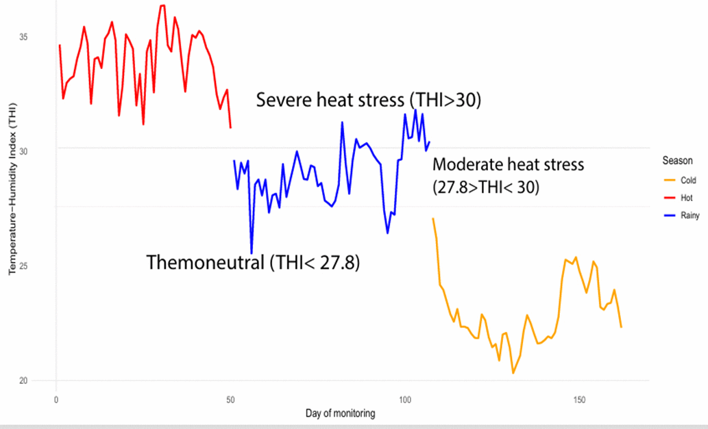 Lactaion curve of Nili Ravi buffaloes with and without rbST treatment 