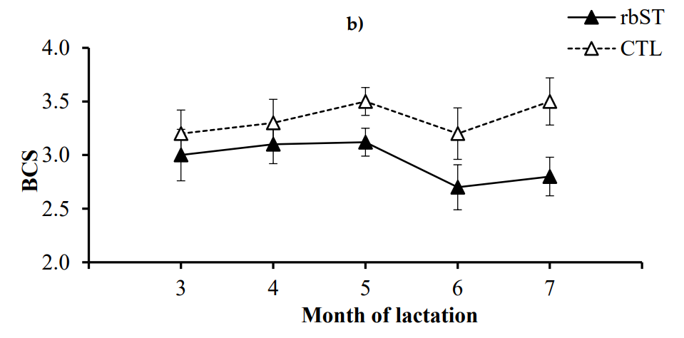 BCS of buffaloes administered with rbST.
